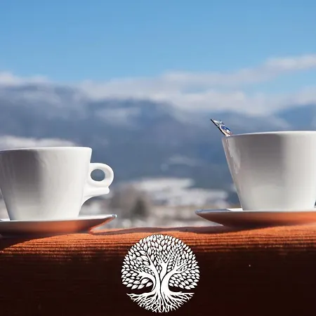 Debeli Dab Хотел 2*