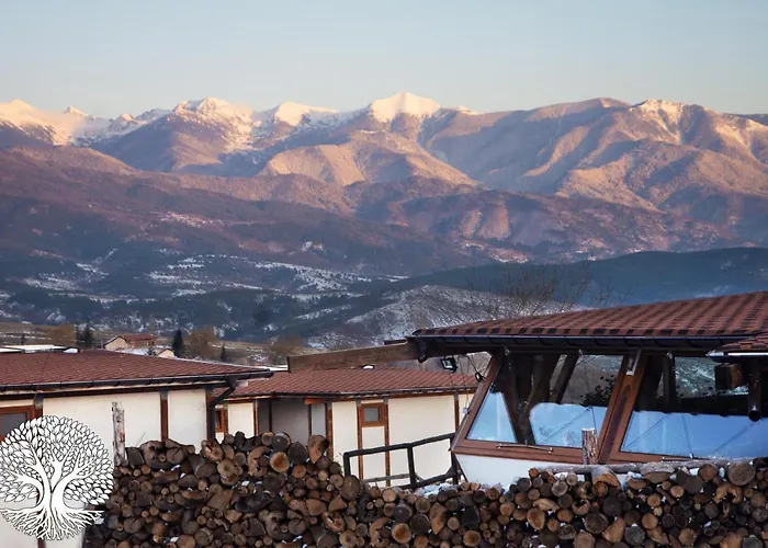 Debeli Dab Хотел 2*